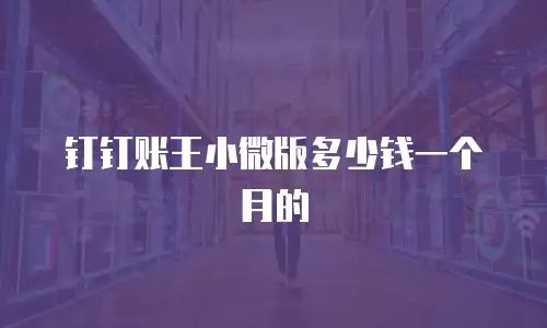 钉钉账王小微版多少钱一个月的