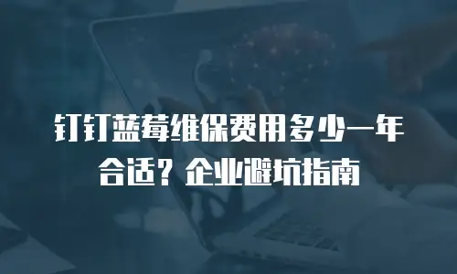钉钉蓝莓维保费用多少一年合适？企业避坑指南