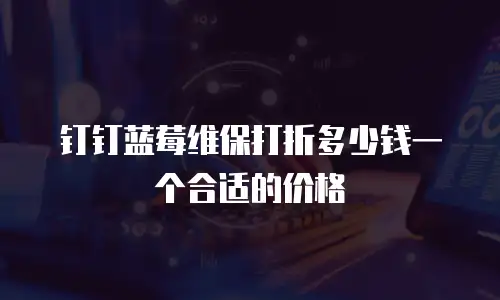 钉钉蓝莓维保打折多少钱一个合适的价格