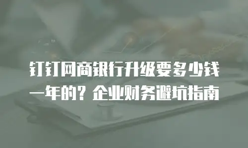 钉钉网商银行升级要多少钱一年的？企业财务避坑指南