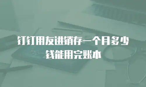 钉钉用友进销存一个月多少钱能用完账本