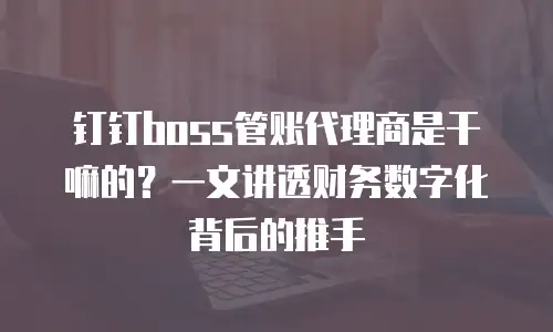 钉钉boss管账代理商是干嘛的？一文讲透财务数字化背后的推手