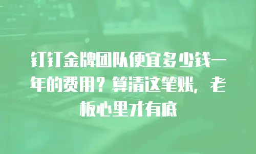 钉钉金牌团队便宜多少钱一年的费用？算清这笔账，老板心里才有底
