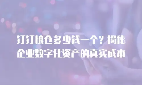 钉钉粮仓多少钱一个？揭秘企业数字化资产的真实成本