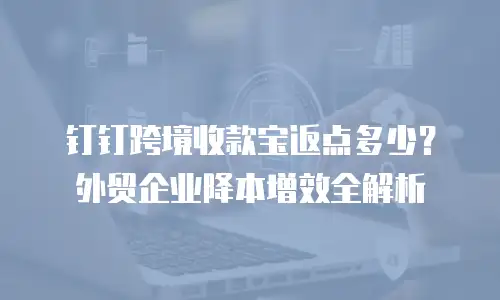 钉钉跨境收款宝返点多少？外贸企业降本增效全解析