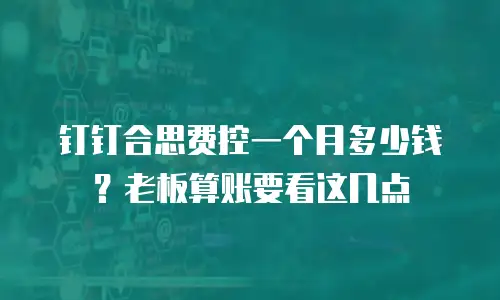 钉钉合思费控一个月多少钱？老板算账要看这几点