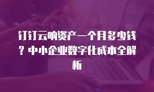 钉钉云呐资产一个月多少钱？中小企业数字化成本全解析
