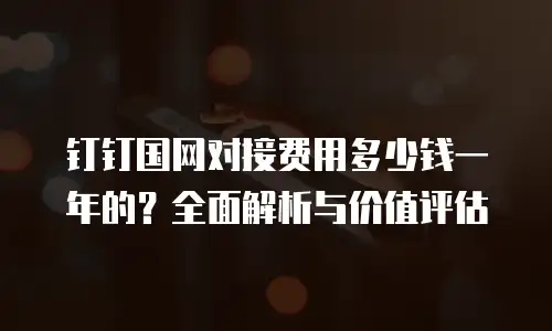 钉钉国网对接费用多少钱一年的？全面解析与价值评估