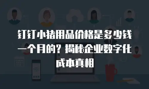 钉钉小猪用品价格是多少钱一个月的？揭秘企业数字化成本真相