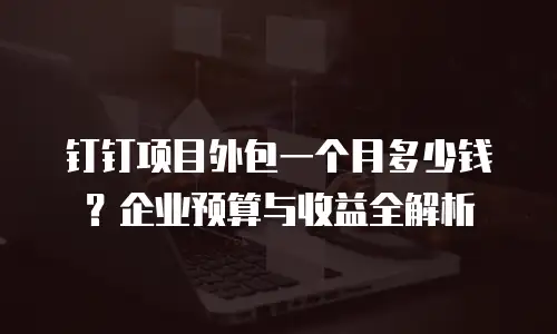 钉钉项目外包一个月多少钱？企业预算与收益全解析