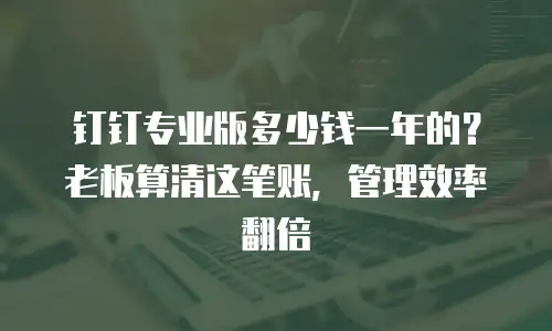 钉钉专业版多少钱一年的？老板算清这笔账，管理效率翻倍