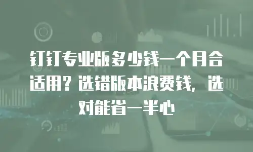 钉钉专业版多少钱一个月合适用？选错版本浪费钱，选对能省一半心