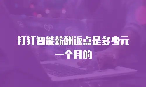 钉钉智能薪酬返点是多少元一个月的