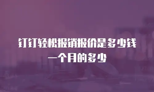 钉钉轻松报销报价是多少钱一个月的多少