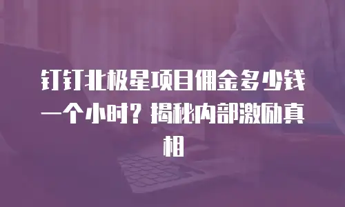 钉钉北极星项目佣金多少钱一个小时？揭秘内部激励真相