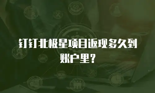 钉钉北极星项目返现多久到账户里？
