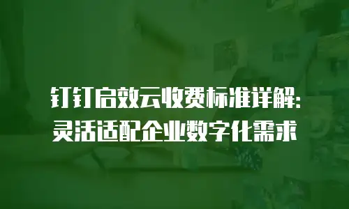 钉钉启效云收费标准详解：灵活适配企业数字化需求