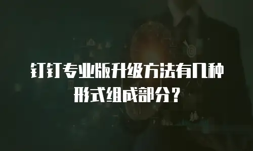 钉钉专业版升级方法有几种形式组成部分？