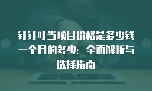 钉钉叮当项目价格是多少钱一个月的多少：全面解析与选择指南
