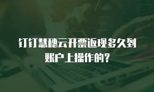 钉钉慧穗云开票返现多久到账户上操作的？