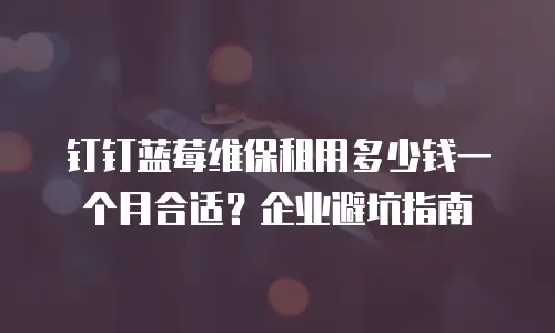 钉钉蓝莓维保租用多少钱一个月合适？企业避坑指南