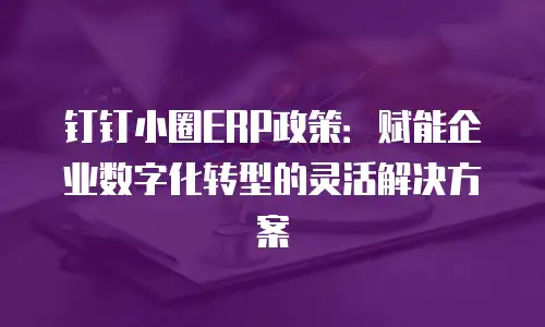 钉钉小圈ERP政策：赋能企业数字化转型的灵活解决方案