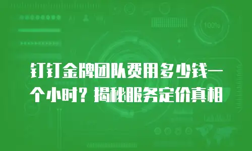 钉钉金牌团队费用多少钱一个小时？揭秘服务定价真相