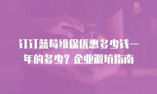 钉钉蓝莓维保优惠多少钱一年的多少？企业避坑指南