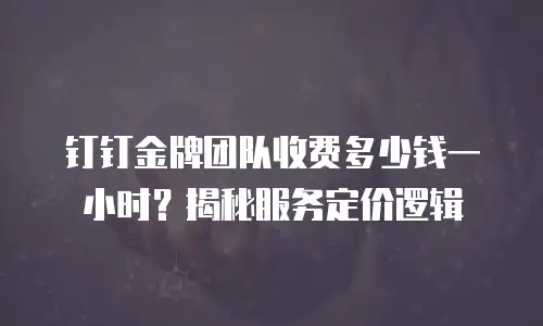 钉钉金牌团队收费多少钱一小时？揭秘服务定价逻辑