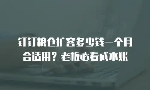 钉钉粮仓扩容多少钱一个月合适用？老板必看成本账