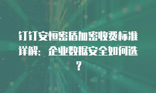 钉钉安恒密盾加密收费标准详解：企业数据安全如何选？