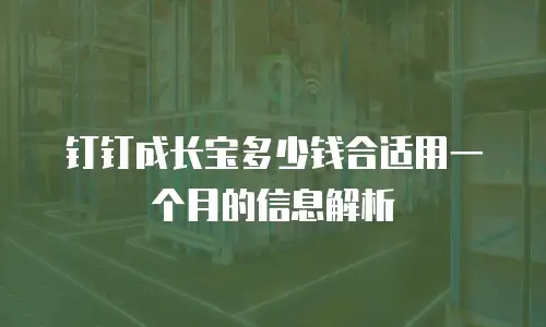 钉钉成长宝多少钱合适用一个月的信息解析