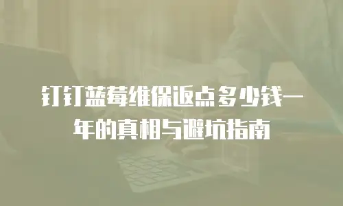 钉钉蓝莓维保返点多少钱一年的真相与避坑指南