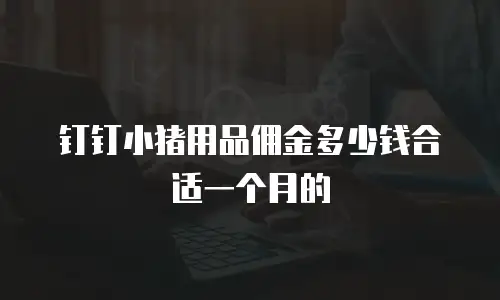 钉钉小猪用品佣金多少钱合适一个月的