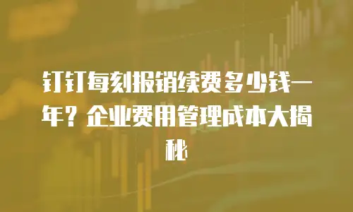 钉钉每刻报销续费多少钱一年？企业费用管理成本大揭秘