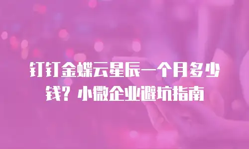 钉钉金蝶云星辰一个月多少钱？小微企业避坑指南