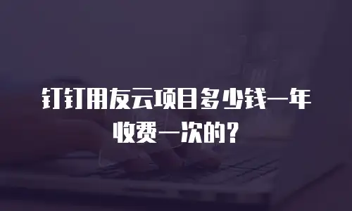 钉钉用友云项目多少钱一年收费一次的？