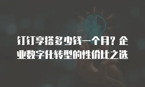 钉钉享搭多少钱一个月？企业数字化转型的性价比之选
