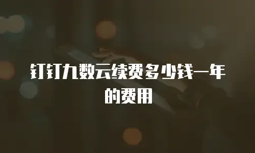 钉钉九数云续费多少钱一年的费用