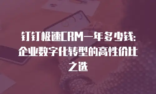 钉钉极速CRM一年多少钱：企业数字化转型的高性价比之选