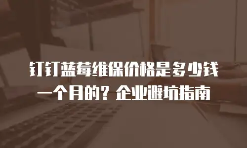 钉钉蓝莓维保价格是多少钱一个月的？企业避坑指南
