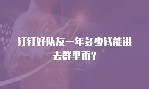 钉钉好队友一年多少钱能进去群里面？