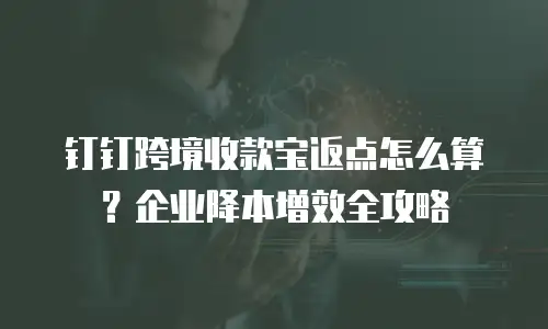 钉钉跨境收款宝返点怎么算？企业降本增效全攻略