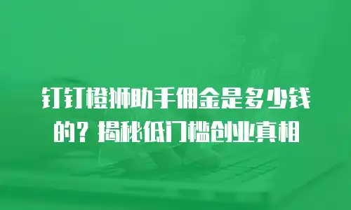 钉钉橙狮助手佣金是多少钱的？揭秘低门槛创业真相