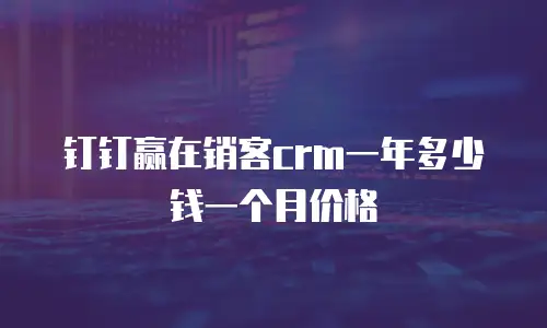 钉钉赢在销客crm一年多少钱一个月价格