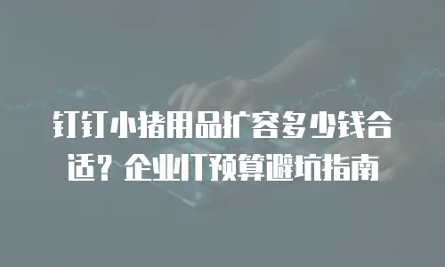 钉钉小猪用品扩容多少钱合适？企业IT预算避坑指南
