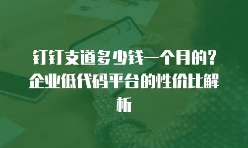钉钉支道多少钱一个月的？企业低代码平台的性价比解析