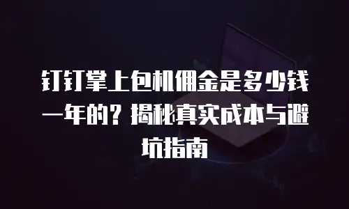 钉钉掌上包机佣金是多少钱一年的？揭秘真实成本与避坑指南