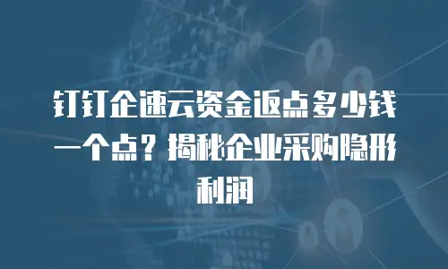 钉钉企速云资金返点多少钱一个点？揭秘企业采购隐形利润