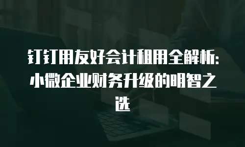 钉钉用友好会计租用全解析：小微企业财务升级的明智之选